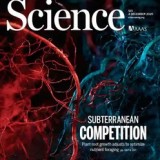 Science – 04 December 2020
