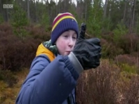 Countryfile S32E11 INTERNAL 480p x264-mSD [eztv]