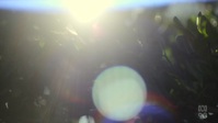 Barons S01E07 720p HEVC x265-MeGusta EZTV