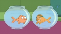 American Dad S16E08 WEB h264-TRUMP EZTV