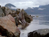 Chefs vs Wild S01E03 480p x264-mSD EZTV