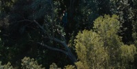 Foundation S01E06 720p HEVC x265-MeGusta EZTV