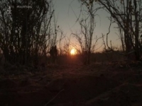 Walking with Elephants S01E01 480p x264-mSD [eztv]