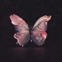Before You Exit – Silence [2018][320 KBPS][pradyutvam]