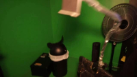 Paranormal Caught on Camera S06E10 XviD-AFG EZTV Paranormal Caught on Camera S06E10 XviD-AFG EZTV