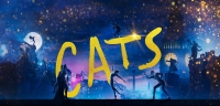 Cats 2019 1080p 10bit BluRay 8CH x265 HEVC-PSA Cats 2019 1080p 10bit BluRay 8CH x265 HEVC-PSA