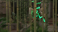 Big Brother US S26E10 REPACK 720p HEVC x265-MeGusta EZTV
