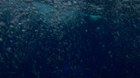 OceanXplorers S01E02 1080p HEVC x265-MeGusta EZTV