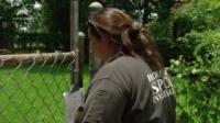 Animal Cops Houston S06E03 HDTV x264-W4F [eztv]