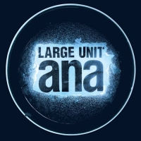 Large Unit - Ana (2016)