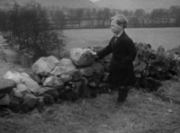 Seven Up! (1964) [BluRay] [1080p] [YTS] [YIFY]
