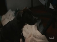 NCIS Hawaii S02E16 480p x264-mSD EZTV