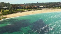 Bondi Vet S06E24 WEB x264-GIMINI [eztv]