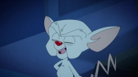Animaniacs 2020 S01E10 XviD-AFG EZTV
