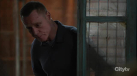 Chicago PD S11E07 XviD-AFG EZTV Chicago PD S11E07 XviD-AFG EZTV