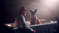 Dog Squad S12E10 XviD-AFG EZTV Dog Squad S12E10 XviD-AFG EZTV