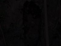 The UnXplained S04E10 480p x264-mSD EZTV