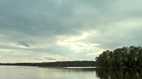 Swamp People S16E03 XviD-AFG EZTV