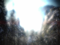 The Proof Is Out There S04E05 480p x264-mSD EZTV