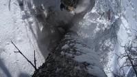 Life Below Zero S14E06 Bone Cold XviD-AFG EZTV