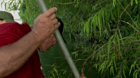 Swamp People S15E13 1080p HEVC x265-MeGusta EZTV Swamp People S15E13 1080p HEVC x265-MeGusta EZTV