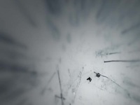 Life Below Zero First Alaskans S01E06 480p x264-mSD EZTV