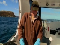 Dive Wars Australia S02E01 480p x264-mSD [eztv]