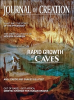 Journal Of Creation (2020 all 3 issues ) pdf