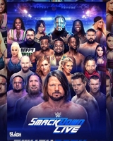WWE SmackDown Live 2019 06 11 HDTV x264-NWCHD [ProstyleX]