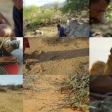Primal Survivor S04E03 WEB h264-TBS Primal Survivor S04E03 WEB h264-TBS