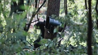 Hard Truths of Conservation S01E11 XviD-AFG EZTV Hard Truths of Conservation S01E11 XviD-AFG EZTV