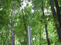 Moonshiners S11E05 480p x264-mSD EZTV