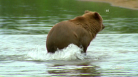 Wild Child S04E03 720p WEB h264-DiRT EZTV