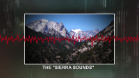 The Proof Is Out There S04E05 XviD-AFG EZTV The Proof Is Out There S04E05 XviD-AFG EZTV