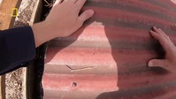 Aussie Snake Wranglers S01E06 720p WEB H264-CBFM EZTV Aussie Snake Wranglers S01E06 720p WEB H264-CBFM EZTV