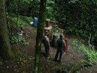 Moonshiners S08E02 480p x264-mSD [eztv]