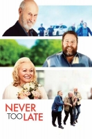 Never Too Late 2020 HDRip XviD AC3-EVO[TGx]