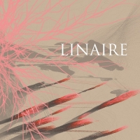 [chamber pop, electronic] (2020) Linaire - Linaire [FLAC] [DarkAngie]