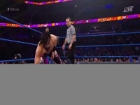 WWE 205 Live 2020 01 03 480p x264-mSD [eztv]