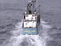 Deadliest Catch Bloodline S03E02 480p x264-mSD EZTV Deadliest Catch Bloodline S03E02 480p x264-mSD EZTV