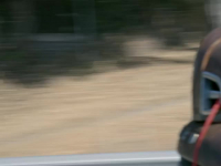 Roadkill S13E10 480p x264-mSD EZTV Roadkill S13E10 480p x264-mSD EZTV