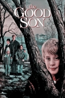 The Good Son 1993 720p BluRay x264-Mkvking
