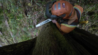 The Last Woodsmen S01E07 REPACK XviD-AFG EZTV The Last Woodsmen S01E07 REPACK XviD-AFG EZTV