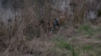 Reported Missing 2017 S02E04 720p HDTV x264-QPEL [eztv]