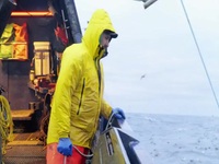 Deadliest Catch S18E11 480p x264-mSD EZTV