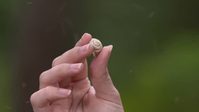 Springwatch S18E01 XviD-AFG EZTV