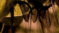 Rivers Of Life S01E03 WEB h264-LiGATE [eztv]