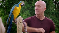 Embarrassing Pets S01E06 720p HDTV X264-CREED [eztv]
