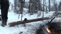 Alone S11E11 720p HEVC x265-MeGusta EZTV Alone S11E11 720p HEVC x265-MeGusta EZTV
