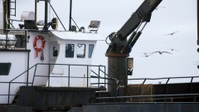 Deadliest Catch S19E02 1080p HEVC x265-MeGusta EZTV